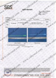 SGS test report of Plastic seal CH311 and CH302